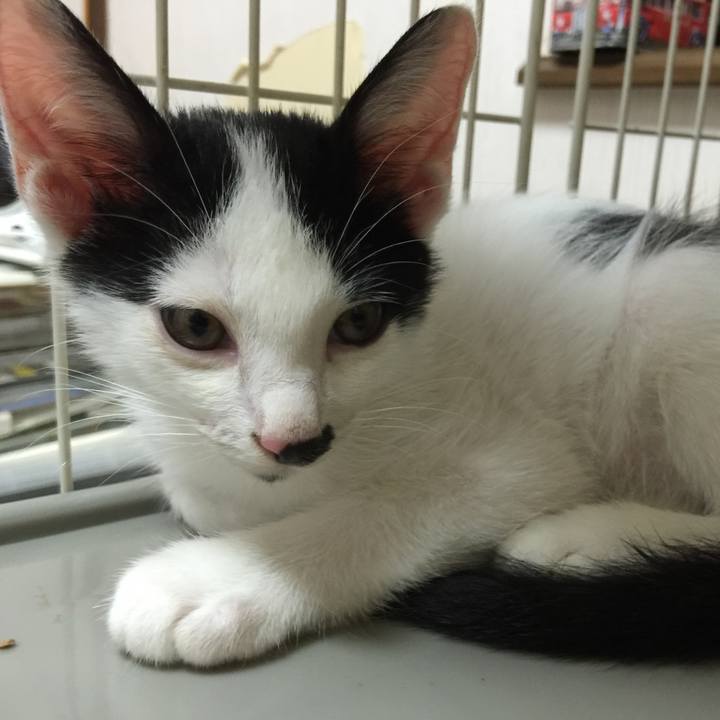 899b013b 104c 4c89 9c7a 5d9993cc0579