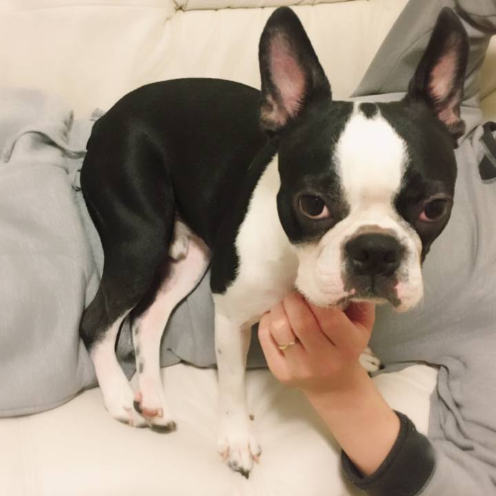 899b1bdf 0be6 4490 b6ee 7237d825f6d2