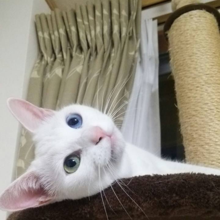 899b8649 9a4c 4fe5 84b4 c059c7f578fc