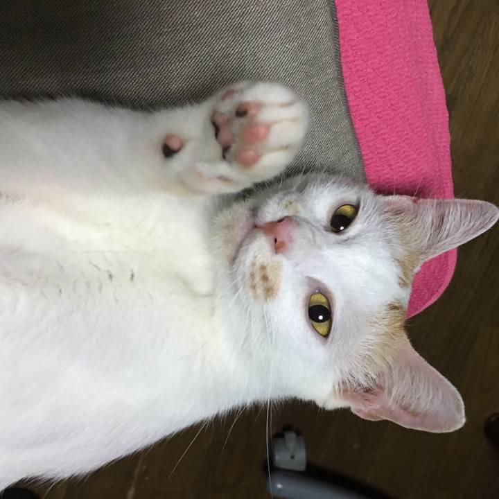 899bf42c f6f7 4b10 856a 9aaa396ac68c