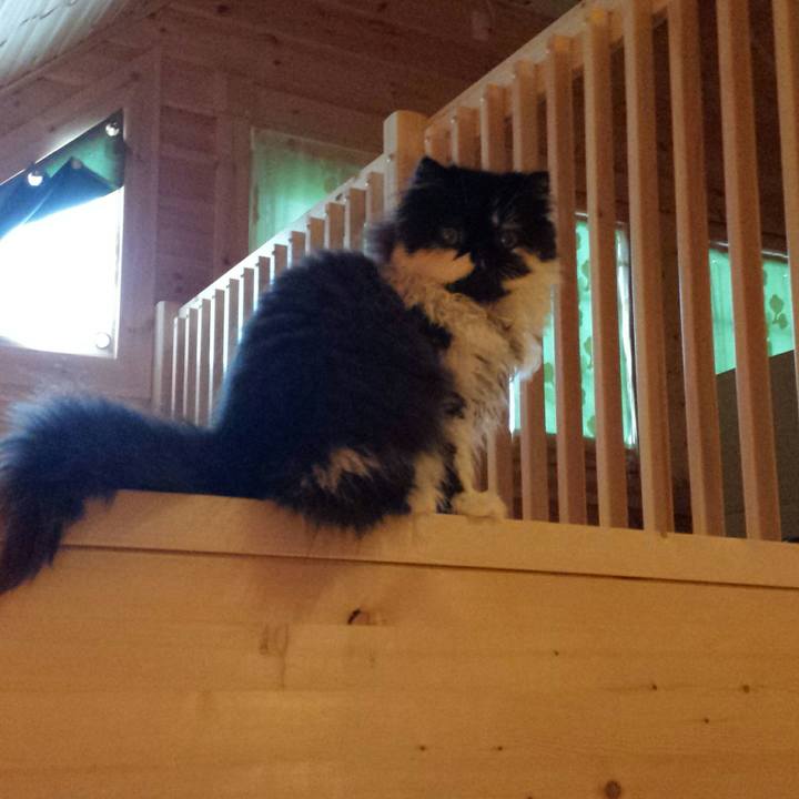 899c2d73 7203 4f5c a84e 71d092c0405d