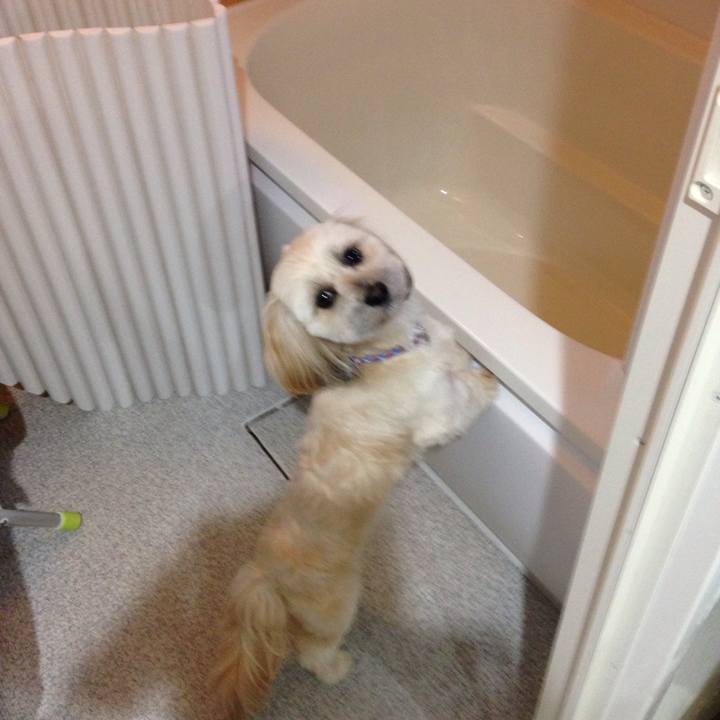 899c315a 8613 4a86 929e 4b96d9da21e9