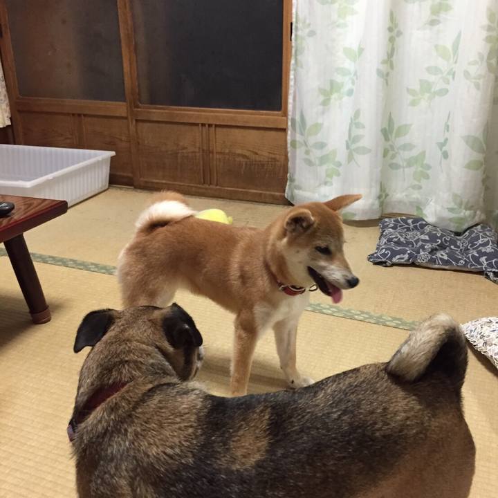 899c32eb 0c0b 4a6d 881b 318e951a64fe