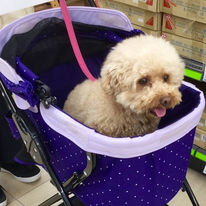 899c9072 240b 4a2d b22a babe75aa4281