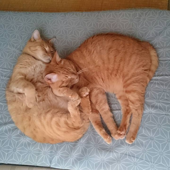 899d2d10 52d3 4303 81f7 ce5aa34b3496