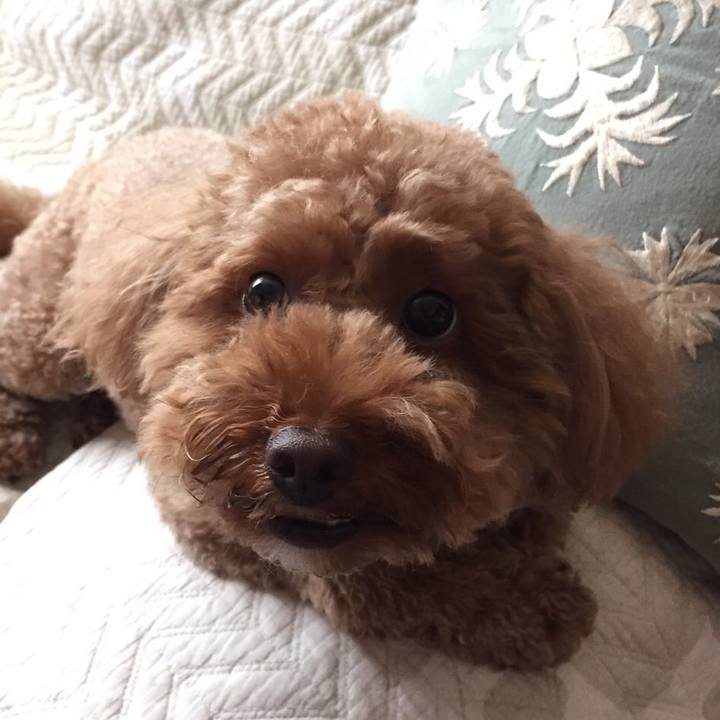 899d8c21 7765 429a b262 27d15bbc6fa3