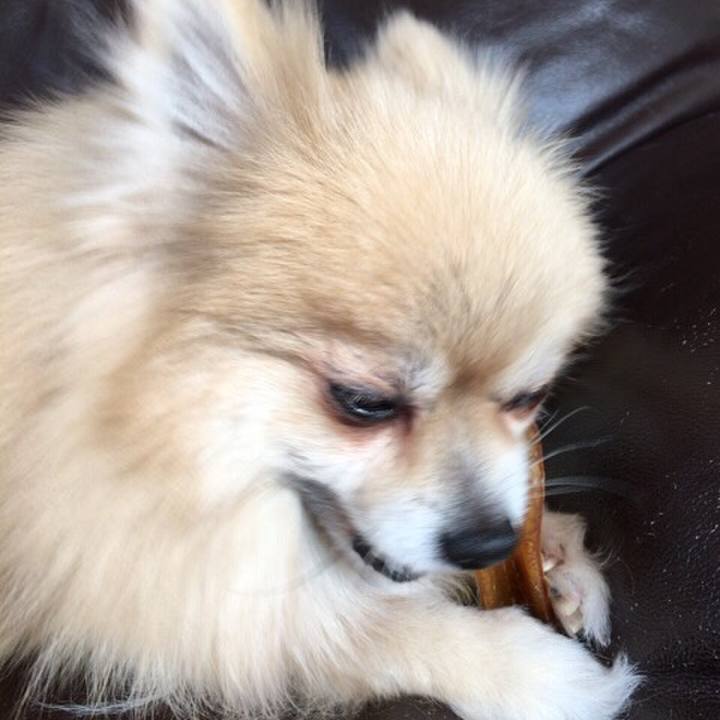 899da4ce 9cd5 4ac2 87e2 5ff4c2e6df7b