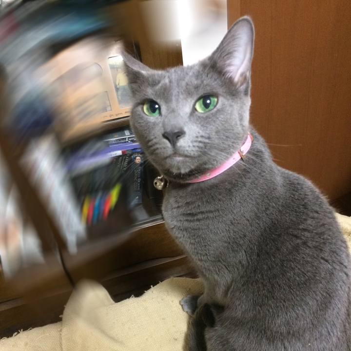 899e3f0a f9c4 4264 8a37 779a52797acf