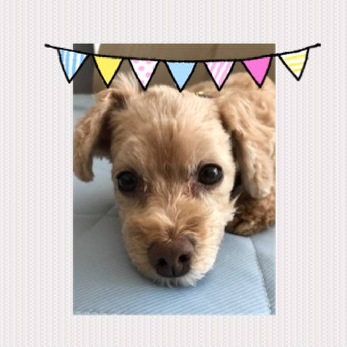 899e4ab6 8a34 418d 9839 8599f8b0c7df