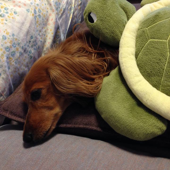 899f2dc3 c6ad 4fc0 89e3 6f65adc5ddc1