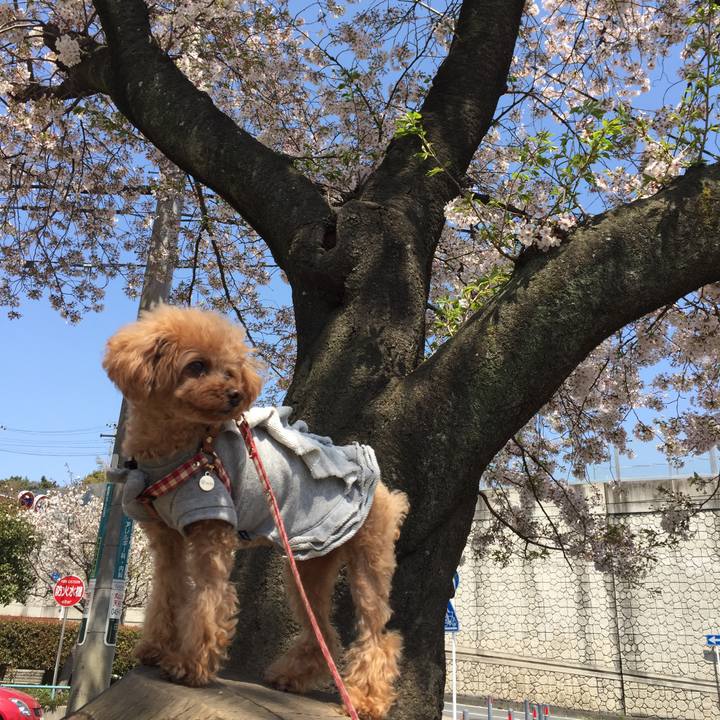 899fddc3 d204 4d13 bdd3 d4f65d26636e