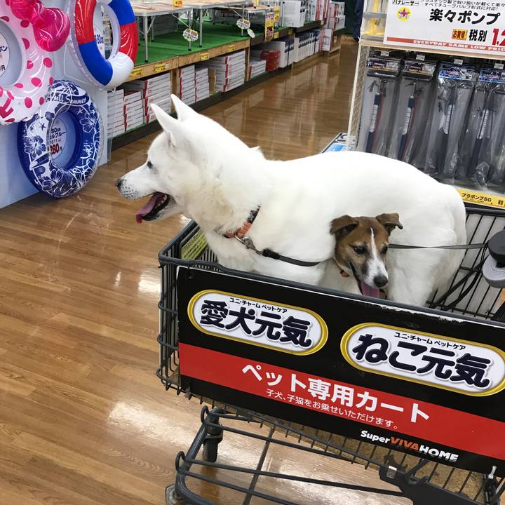 89a000db 40df 4291 9f18 dfc80e942dd4