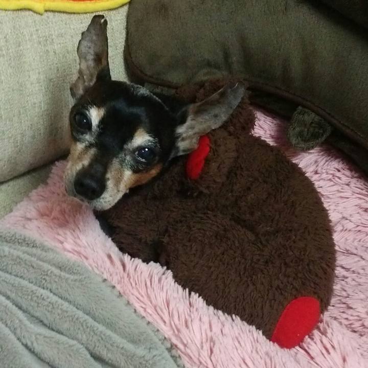 89a04693 5b4b 4d45 af9c 79fb45274643