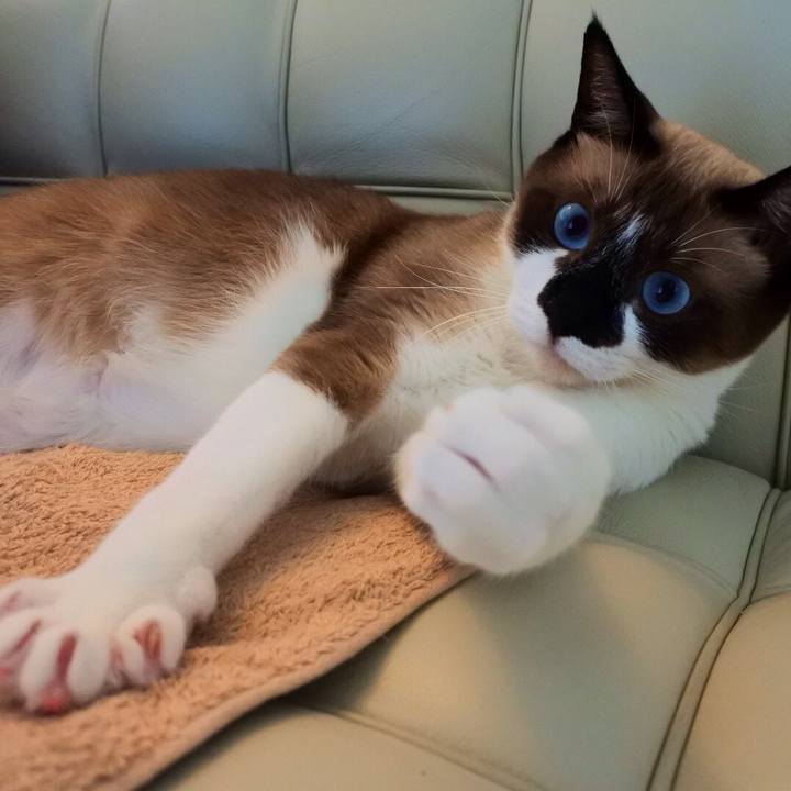 89a0dad4 c05a 4a68 98fb 07ddf39ad53e