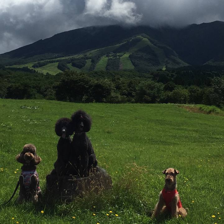 89a0e939 ad44 420e a2a3 e091068fff0c