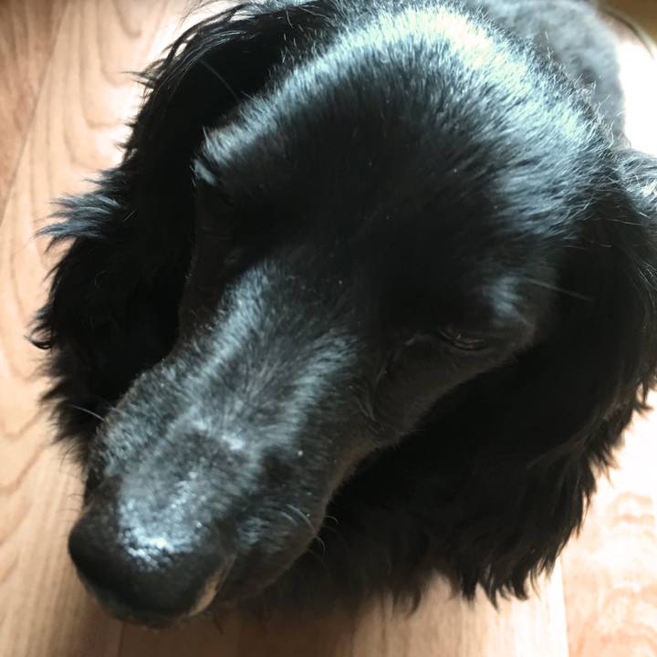 89a0f491 eff0 4f06 bd2a 6863db7357ed