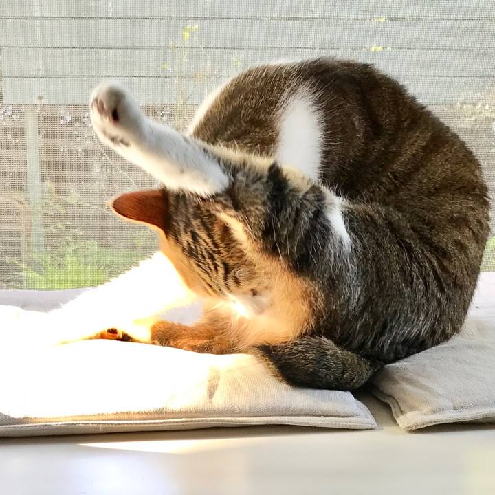 89a1bab3 47c5 4d74 8204 a1d645723aaf