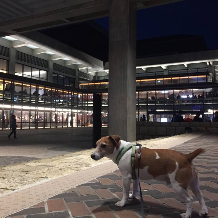 89a1bdc2 7dd1 41ac 8811 994ac7abaee3