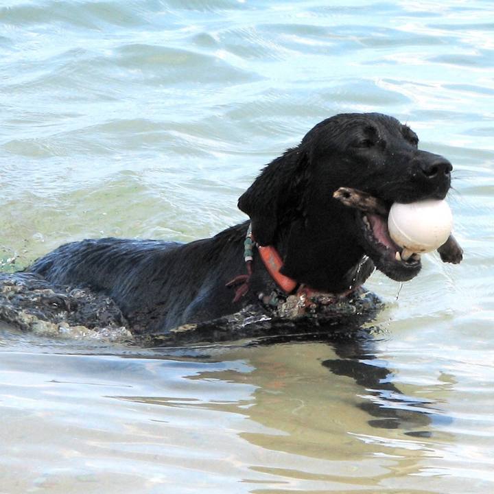 89a1e883 0ff7 41c2 93af 4a7c84884f0e