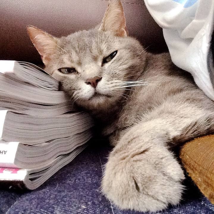 89a1f544 8caa 4fed bc5c c15ce18e7e26