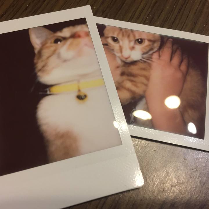 89a207b6 e790 456b b7f0 39fcf8682bf1