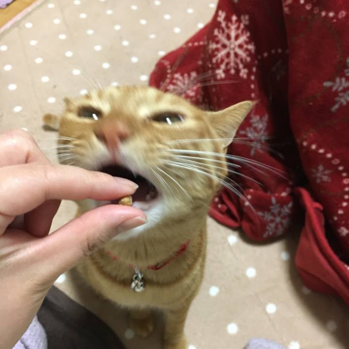 89a24d7d ae67 4266 b90e 84146b514791