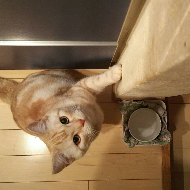 89a306c9 cdeb 497f bb4e 6a2055881046