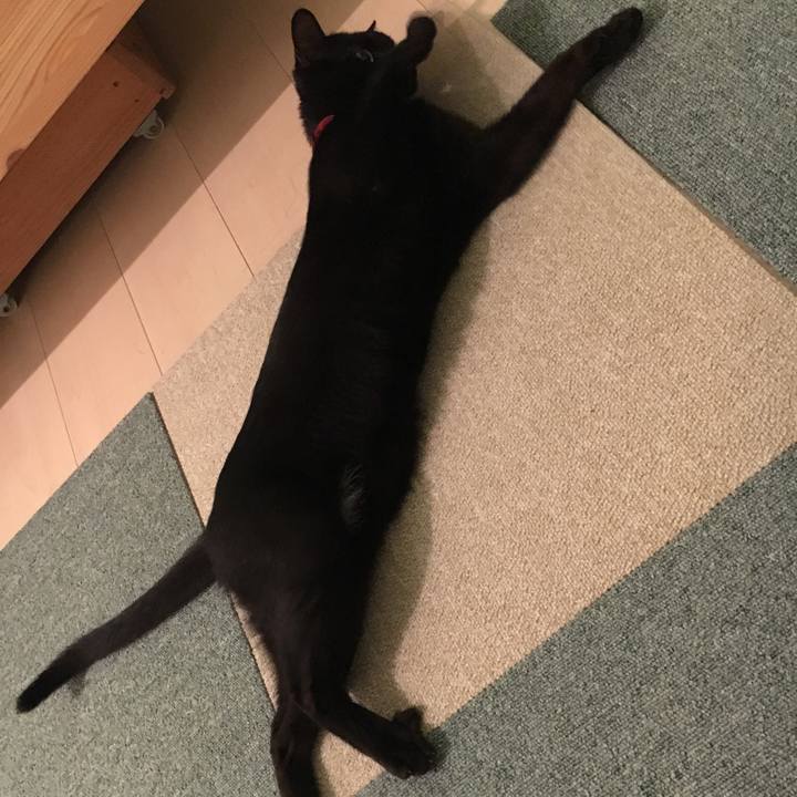 89a310e5 a8ae 400e be2b 7de1b6a5490b