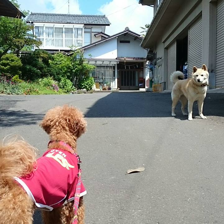 89a3840d fab2 439a 9605 7e71a2bcdb10