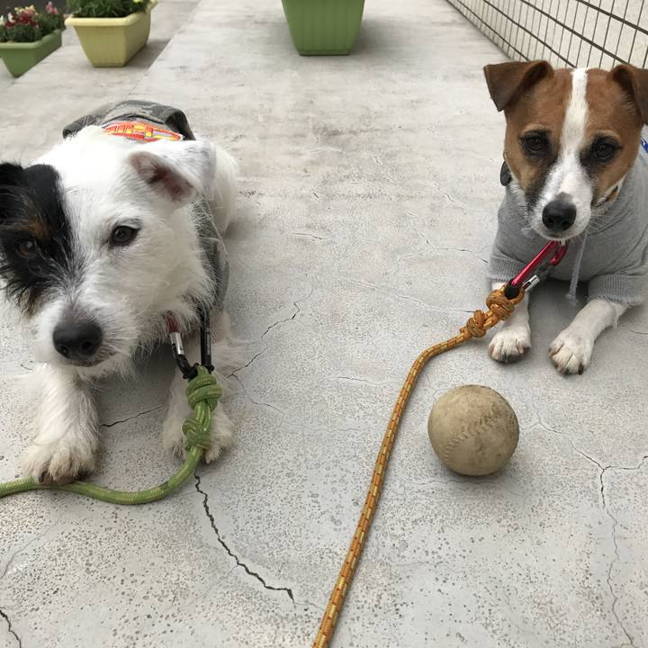 89a39bed 3523 4716 857c 97ee0f2aa5bd