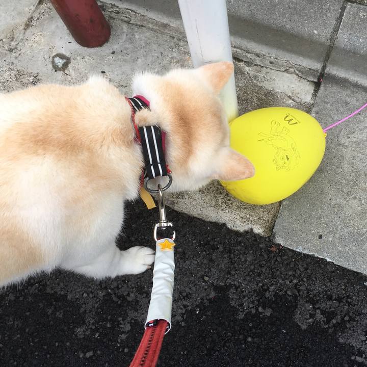 89a3b361 ee83 45fa b92f b5481a4b52e6