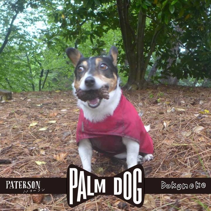 89a3e8c1 41b0 403c aed2 dbc83498dd00