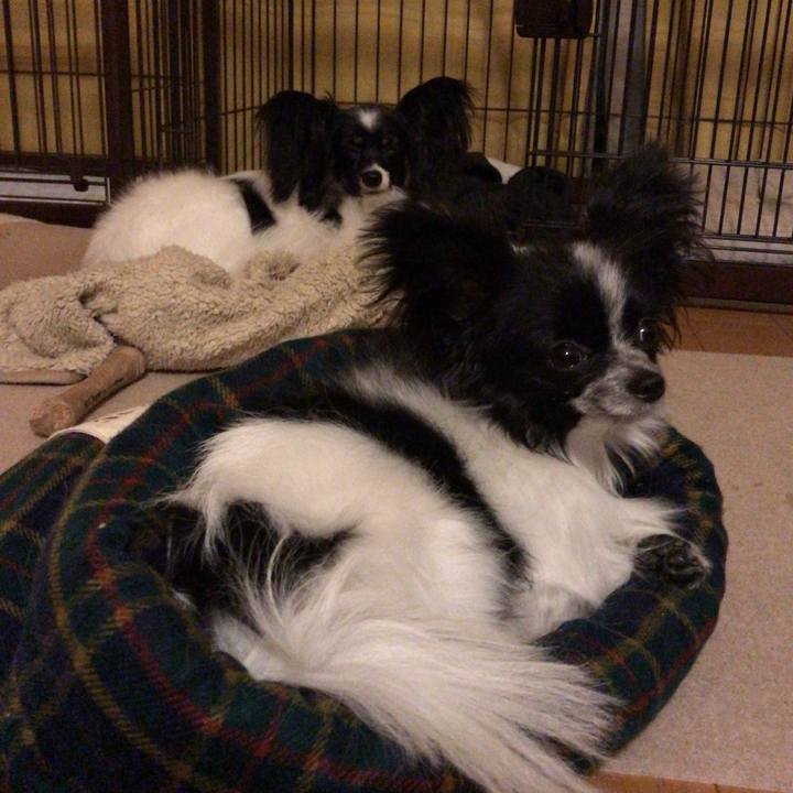 89a42073 d06d 4c84 a167 b8074b0db1cb