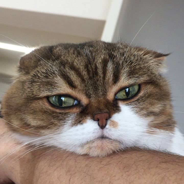 89a62a47 4c39 4be9 bb30 16d7d1f984a8