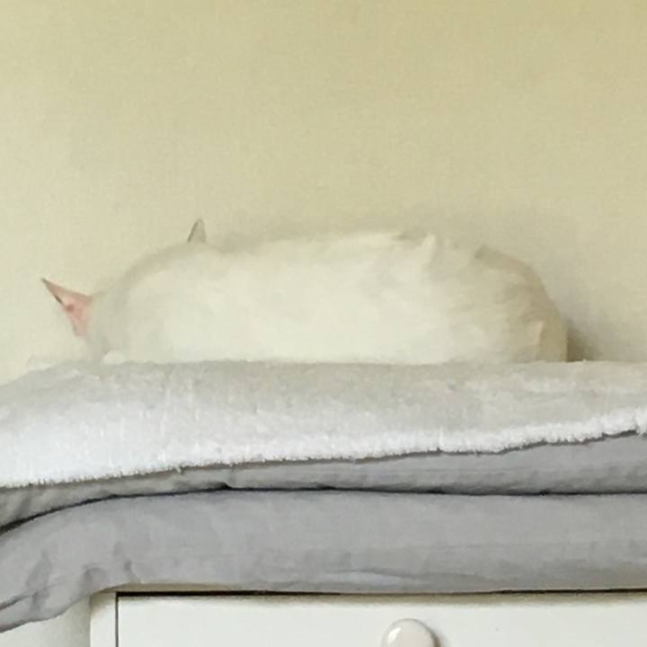 89a6356d ce20 4a43 a988 e584aebe3da4