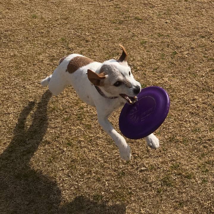 89a66350 b42d 4fa1 b36c 457424069d0b