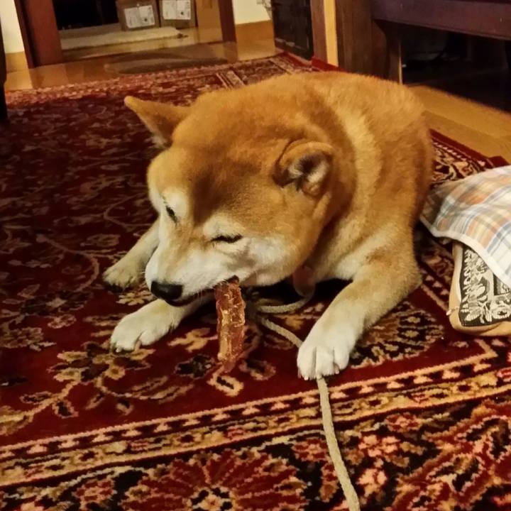 89a6b783 a503 471a b45f b781b9698548