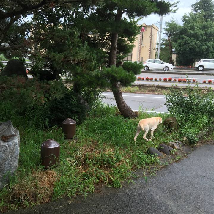 89a7dad9 044b 4891 aca9 5c1d699012e7