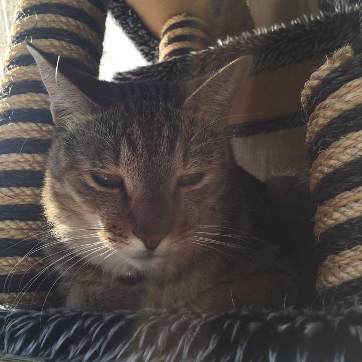 89a8900c 72f6 43ef a3e1 9c7663bed971