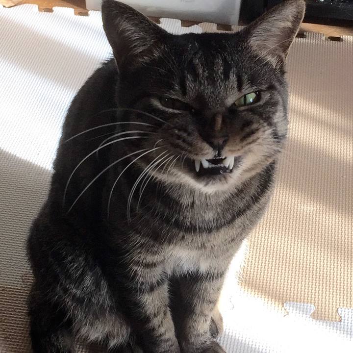 89a8c808 e578 4a34 9240 7faecde12802