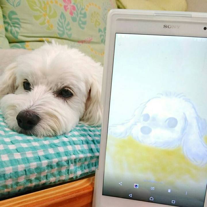 89a958bd e1c0 4379 a45f 207768fbfd35