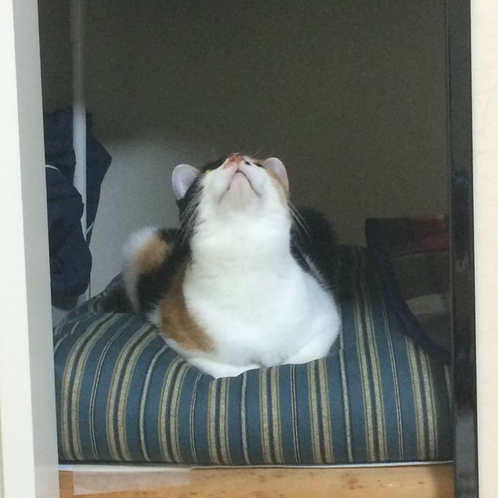 89a9cedc b608 4fe0 a8ad 8226adc57c81