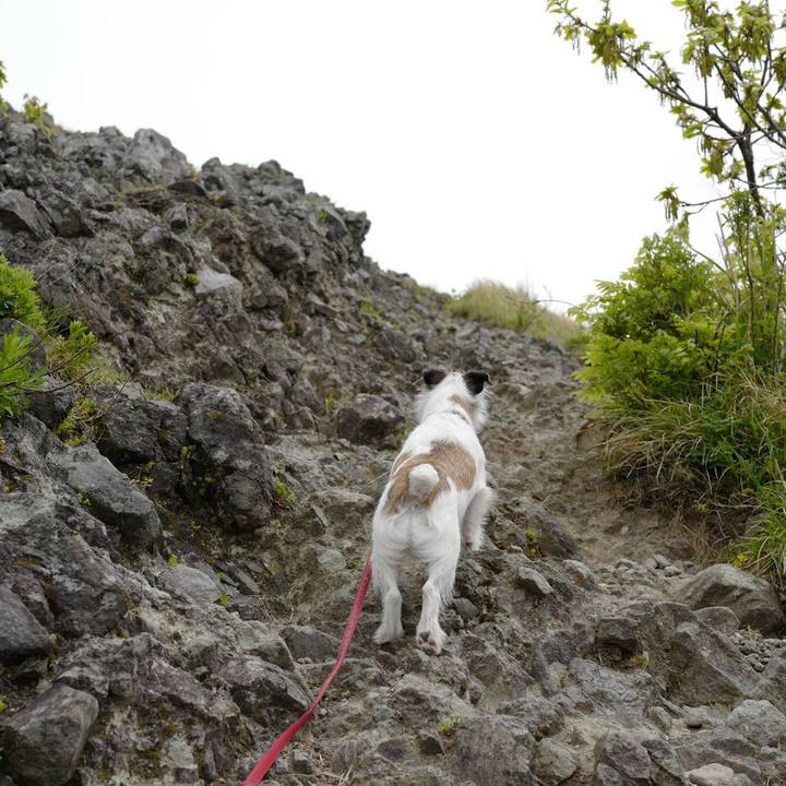 89aa6291 9634 423d ade3 95b7c439fb8f