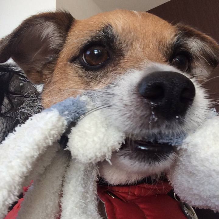 89aab255 53b7 4c64 8121 11026d79b568