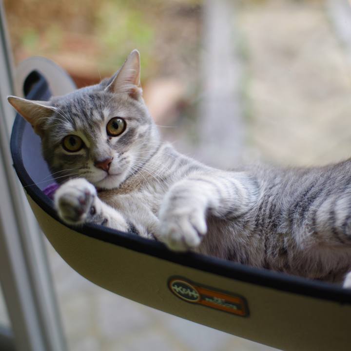 89aab321 014f 4235 ba11 7a1ea04548fb