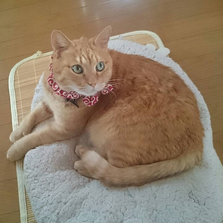 89aac1f7 24de 45ad 9590 3aaf21ccc9a3