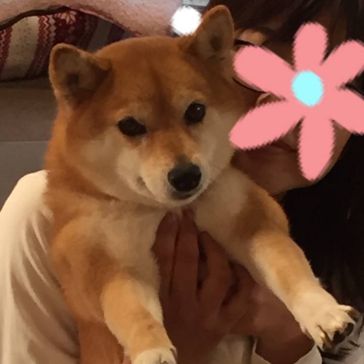 89ab1ab2 5a21 49b4 b421 e53bb810896f