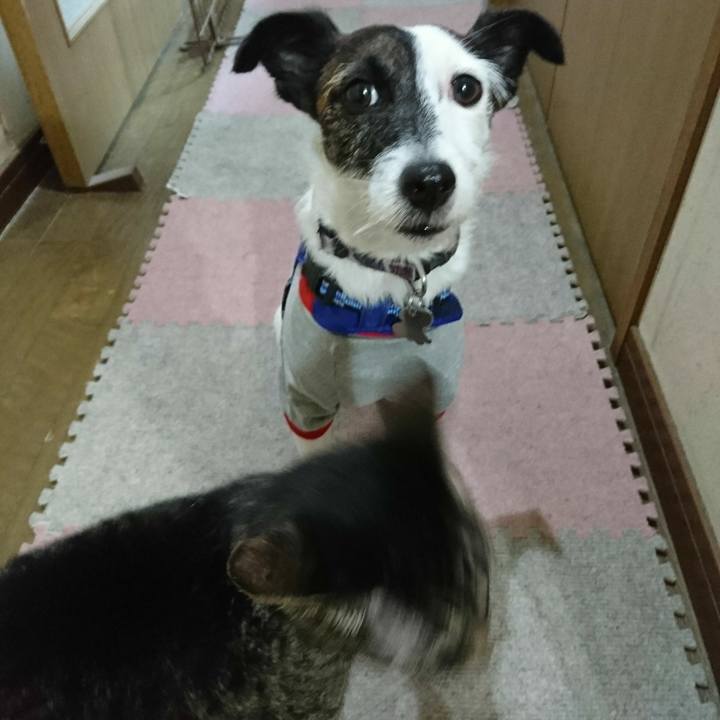 89ab5434 7497 45e5 b71f 6c2eb0e597a2