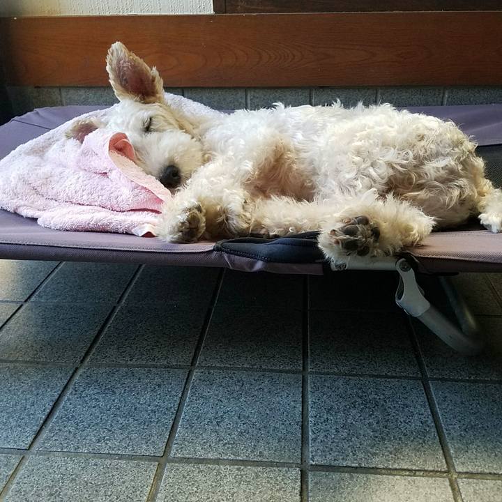 89ab70ad d3e0 49cd be59 8be2e5e79425