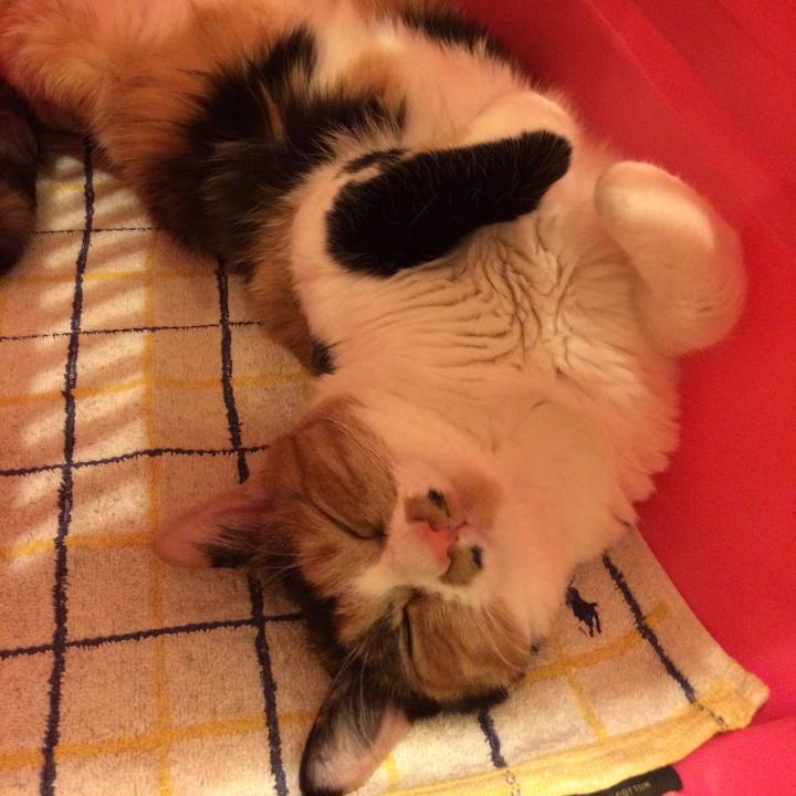 89aba6a8 31b7 49ae b2ab 0635c70347bd